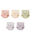 5 Pieces Summer Women High Waist Jacquard Underwear