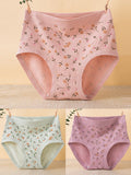 3 Pieces Women Artsy Floral High Waist Underwear