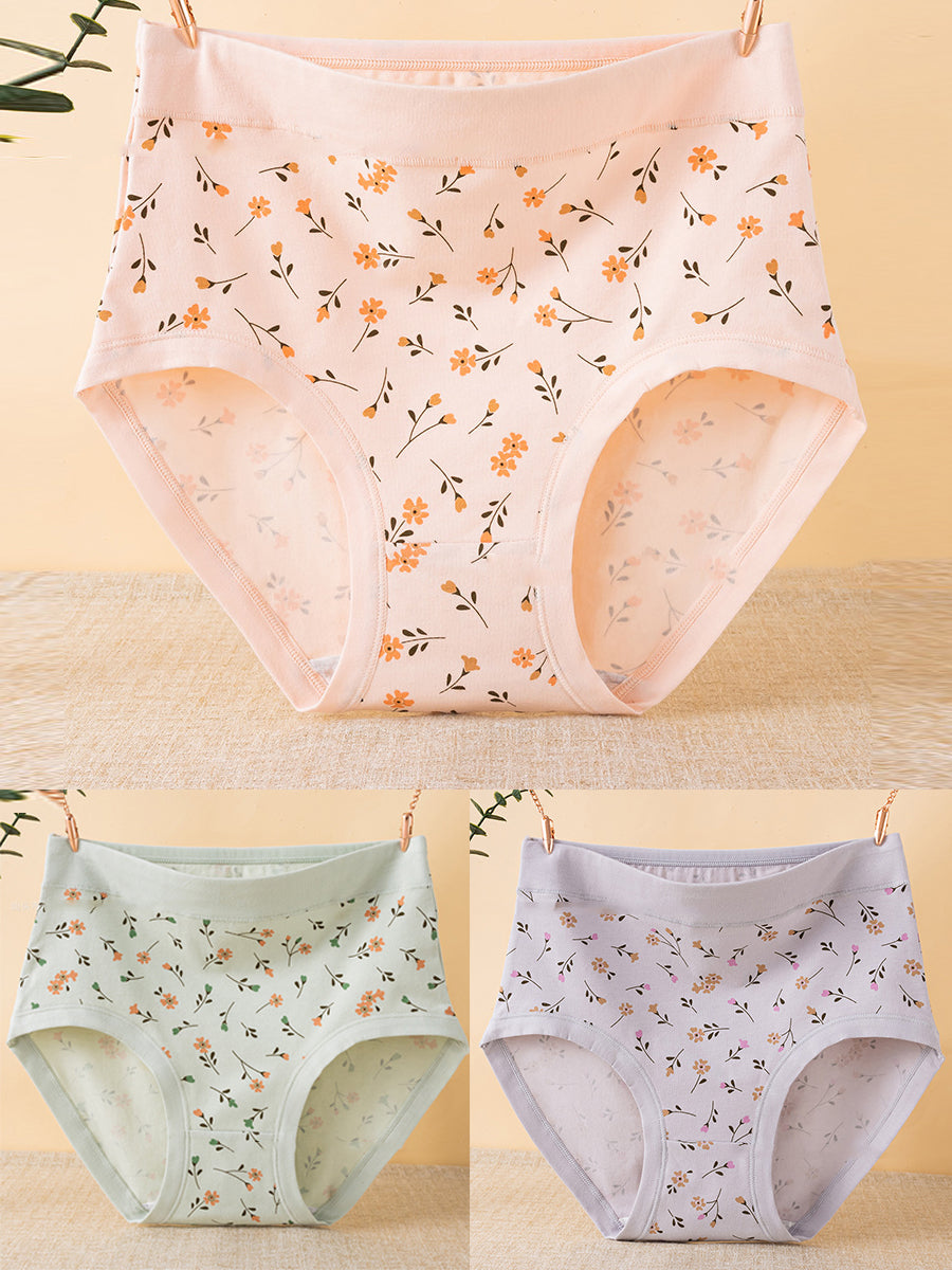 3 Pieces Women Artsy Floral High Waist Underwear