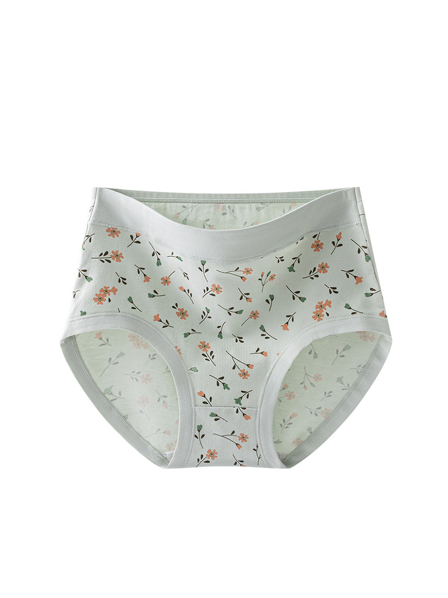 3 Pieces Women Artsy Floral High Waist Underwear