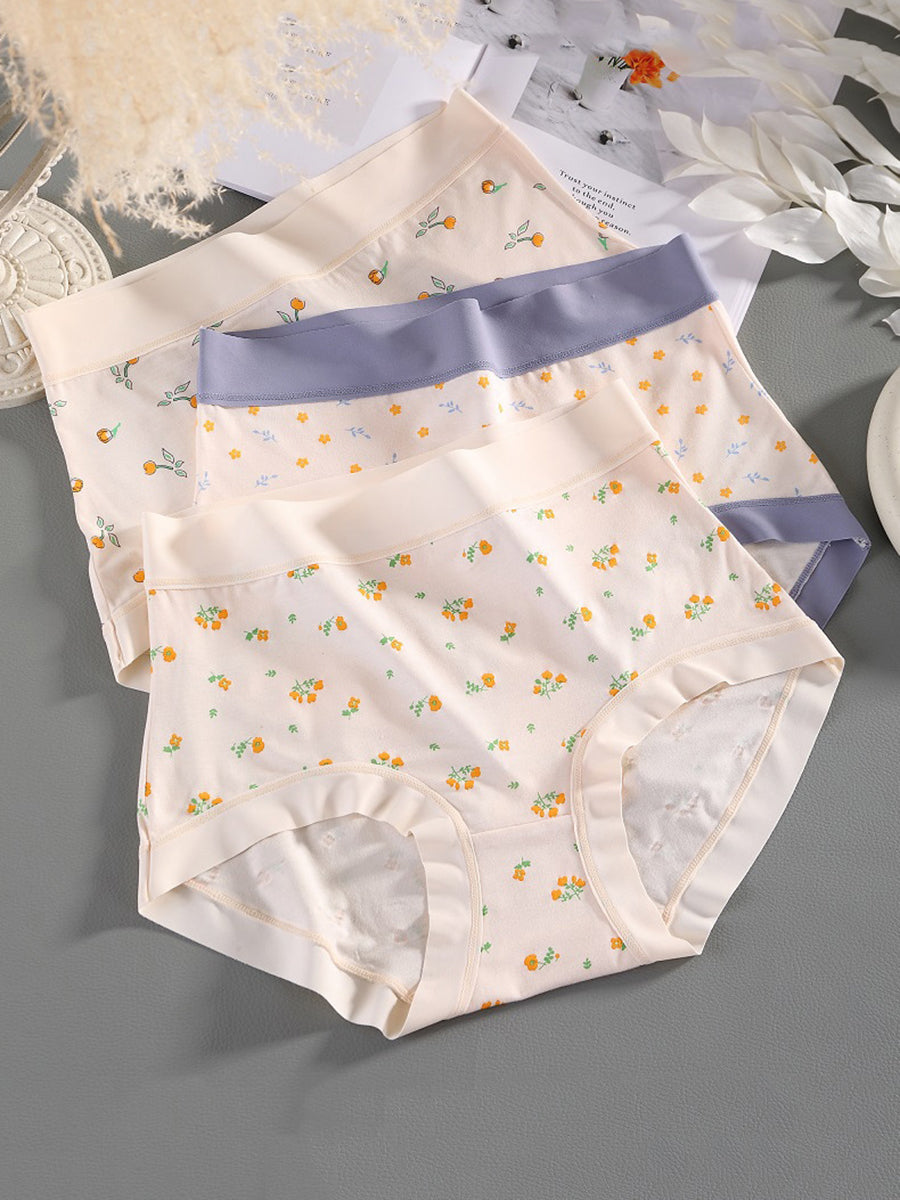 4 Pieces Women Artsy Floral High Waist Underwear