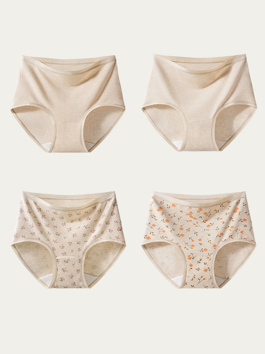 Women 4-Pack 100% Cotton Briefs – Extended Antibacterial Crotch Breathable Underwear