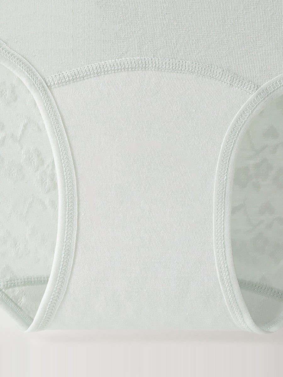 6 Pieces Women Cotton High-Waist Antibacterial Underwear